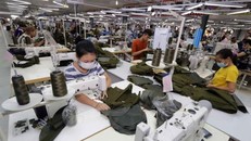 Việt Nam đã xuất khẩu sang Séc các mặt hàng như cà phê, hạt tiêu, hoa quả, chè, cao su, hải sản, giày dép, dệt may, thủ công mỹ nghệ.... Ảnh: Trần Việt-TTXVN