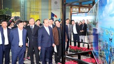 Sức sống nội sinh quan trọng để quảng bá và hội nhập quốc tế