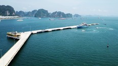 Siêu du thuyền 150 triệu USD của ông chủ CLB Tottenham tại vịnh Hạ Long