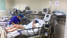 Ghi nhận ca viêm não Nhật Bản đầu tiên trong năm 2019