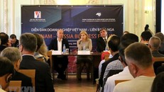 Diễn đàn quy tụ gần 100 doanh nghiệp hai nước. (Ảnh: Tâm Hằng/TTXVN)