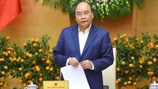 Công điện của Thủ tướng về phòng chống dịch tả lợn châu Phi