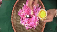 Trà sen truyền thống 3 đời nức tiếng nhất Hà thành, giá chục triệu/kg