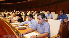 Đại biểu Quốc hội Thành phố Hồ Chí Minh biểu quyết thông qua một dự án luật. (Ảnh: Phương Hoa/TTXVN)