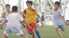 PVF tuyển sinh, tìm kiếm tài năng trẻ khóa 11