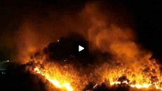 Những vụ cháy rừng lớn ở Việt Nam, kể từ đầu hè 2019