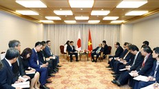 Thủ tướng tiếp một số doanh nghiệp Nhật Bản