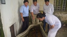 Hà Nội ghi nhận 178 trường hợp mắc sốt xuất huyết