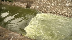 Triệu khối nước cuồn cuộn đổ vào, sông Tô Lịch biến sắc