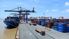 IMF dự báo tăng trưởng kinh tế Việt Nam đạt 6,5% trong năm 2019