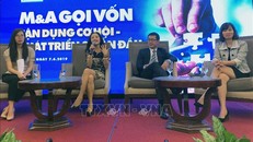 Các chuyên gia, doanh nghiệp chia sẻ kinh nghiệm trong lĩnh vực M&A. Ảnh: Mỹ Phương/TTXVN
