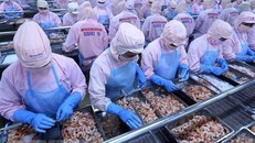 Xuất khẩu thủy sản 7 tháng giảm 1% so với cùng kỳ năm ngoái