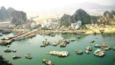 Việt Nam có bao nhiêu huyện đảo?