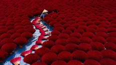 4 bức ảnh Việt Nam lọt vào những khoảnh khắc đẹp nhất thế giới 2019