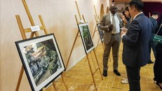 Thúc đẩy hợp tác giữa Hà Nội và các địa phương của Pháp