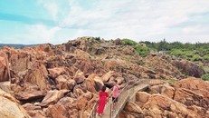Tour 'honey moon' Quy Nhơn - Phú Yên - Đà Lạt đầy ngọt ngào của cặp đôi 9x