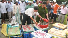 Thực phẩm bẩn đe dọa sức khỏe toàn cầu