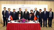 Tập đoàn TH xuất khẩu lô sữa đầu tiên của Việt Nam sang Trung Quốc