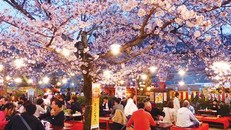 Ảnh minh họa - Internet