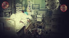 Quy trình cấy ghép phổi diễn ra thế nào?