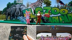 FLC Zoo Safari Park Quy Nhơn - Điểm đến không thể bỏ lỡ trong hành trình khám phá 'xứ Nẫu'