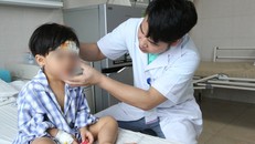 Bé gái 3 tuổi bị chó cắn nát mặt