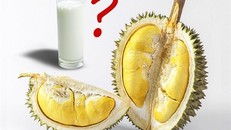 Thực phẩm nào tuyệt đối không ăn với sầu riêng?