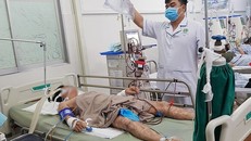 Người đàn ông hôn mê sâu vì ăn cá mặt thỏ