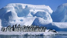 Nam Cực đang giữ bao nhiêu lượng nước ngọt trên thế giới?