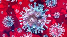 Điều gì xảy ra khi virus Sars-CoV-2 ở trong cơ thể