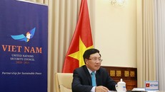 Phó Thủ tướng, Bộ trưởng Ngoại giao Phạm Bình Minh khẳng định, Việt Nam sẽ luôn sẵn sàng đóng góp tích cực vào tiến trình hợp tác nhằm thúc đẩy quan hệ ASEAN và AU. - Ảnh: VGP/Hải Minh