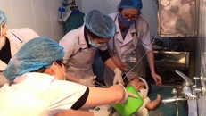 Dùng nước mắm và rượu chữa bỏng, bé trai bị nhiễm trùng nặng