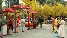 Lan tỏa văn hóa Việt tại Lễ hội Tết Việt 2021