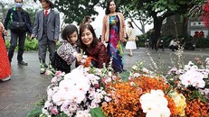 Hơn 100 Cột đèn 'nở hoa' giữa trung tâm Hà Nội