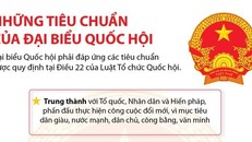 [Infographics] Đại biểu Quốc hội phải đáp ứng những tiêu chuẩn nào?