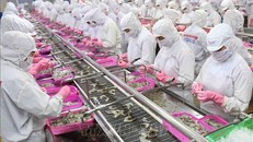 Tạo thuận lợi cho doanh nghiệp để phục hồi tăng trưởng kinh tế. Ảnh: TTXVN.