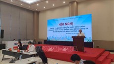 Bình Dương mở cửa nhiều hoạt động kinh tế - xã hội