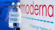 Vaccine ngừa COVID-19 bên biểu tượng của Hãng dược phẩm Moderna. Ảnh: AFP/TTXVN