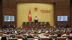 Quang cảnh phiên họp sáng 8/11/2021. Ảnh: Doãn Tấn/TTXVN