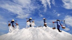 Tác phẩm ảnh trưng bày tại triển lãm. Ảnh: BTC cung cấp