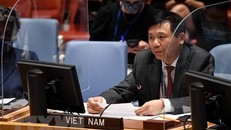 Đại sứ Đặng Đình Quý, Trưởng phái đoàn Việt Nam tai LHQ phát biểu tại phiên họp Hội đồng Bảo an về tình hình Syria. (Ảnh: TTXVN)