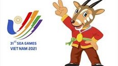 Bổ sung kinh phí chuẩn bị tổ chức SEA Games 31