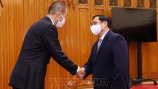 Thủ tướng Phạm Minh Chính tiếp Giám đốc WHO khu vực Tây Thái Bình Dương Takeshi Kasai. Ảnh: Dương Giang/TTXVN