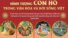 [Infographics] Hình tượng con hổ trong văn hóa và đời sống Việt