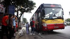 Từ ngày 8/2, Hà Nội cho phép 118/121 tuyến xe buýt trợ giá hoạt động 100% công suất. Ảnh tư liệu: Danh Lam/TTXVN