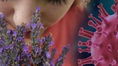 Ảnh minh hoạ: Pixabay