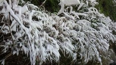 Dự báo hai ngày tới, Bắc Bộ tiếp tục rét, vùng núi cao khả năng xảy ra băng giá, mưa tuyết. Ảnh: TTXVN