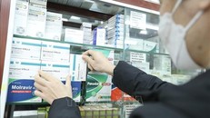 Sau khi có hướng dẫn bán thuốc từ Bộ Y tế, hệ thống nhà thuốc FPT Long Châu đã chính thức mở bán thuốc kháng virus điều trị COVID-19 có thành phần hoạt chất chứa Molnupiravir. Ảnh: Minh Quyết/TTXVN