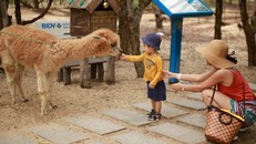 Hòa mình vào thiên nhiên hoang dã tại FLC Zoo Safari Park Quy Nhon