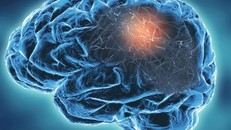 Ảnh minh họa -Shutterstock